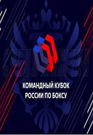 Командный Кубок России по боксу среди мужчин. Финальные поединки