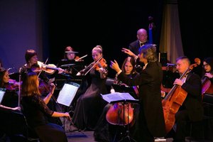 Камерный оркестр В-А-С-Н. Концерт для гобоя с оркестром в стиле барокко