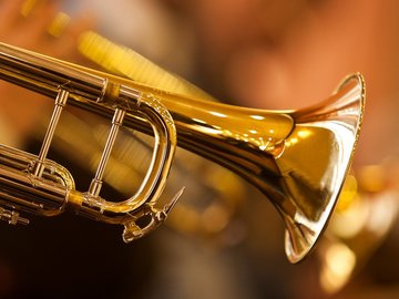 Выбор Незнайки: туба, труба, тромбон