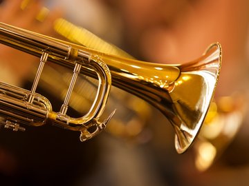 Выбор Незнайки: туба, труба, тромбон