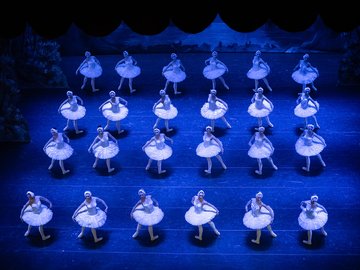 Лебединое озеро