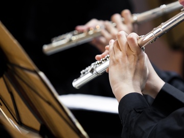 Абонемент № 2 А. Деревянные духовые