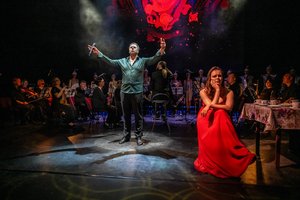 Комплексный анализ метаморфоз личности на примере Мухи-Цокотухи