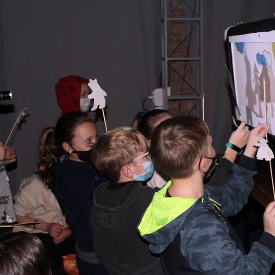 Игра с тенью