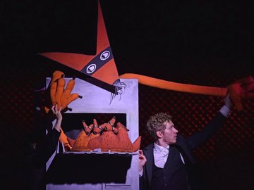 Загадочная история одного лиса