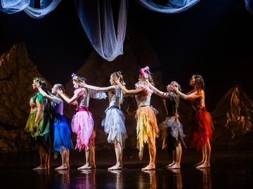 За завесой леса