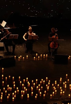 Оркестр при свечах Muse