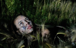 Времена года