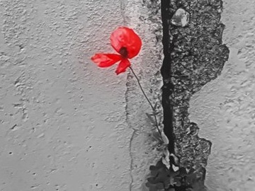 Art-Quintet. Жизнь