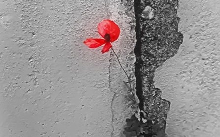 Art-Quintet. Жизнь