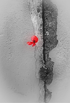 Art-Quintet. Жизнь