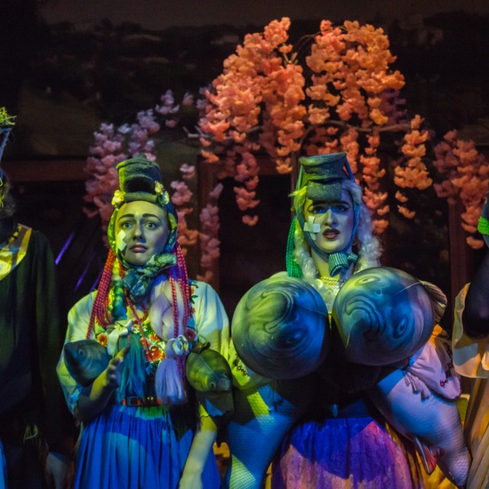 Иван Фёдорович Шпонька и его тётушка