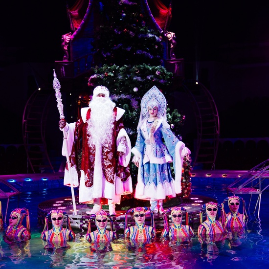 Цирк на воде. Подводное царство