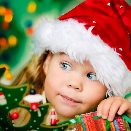 Фейерверк в новогоднем лесу