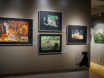 Волшебный лес и его обитатели