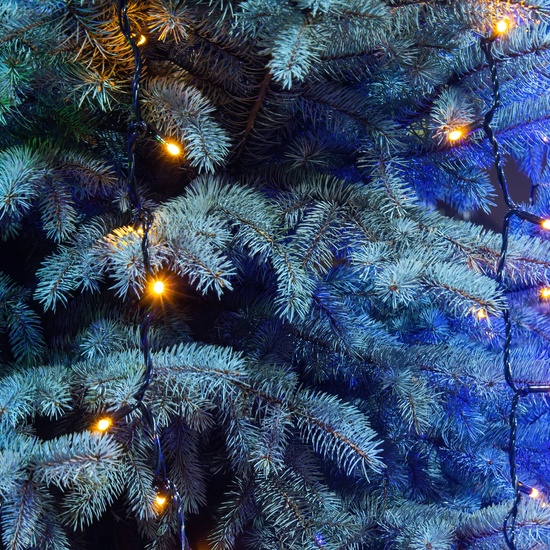 Музыка зимы