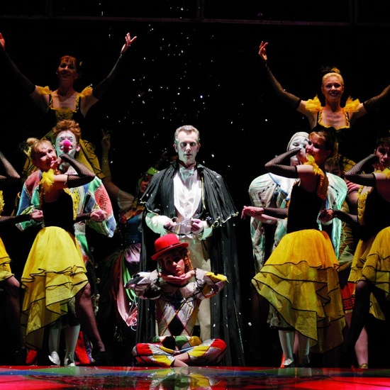 Принцесса цирка