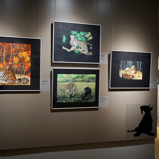 Волшебный лес и его обитатели