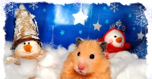 Фабрика подарков