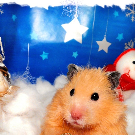 Фабрика подарков