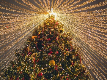 Целый год без хлопот