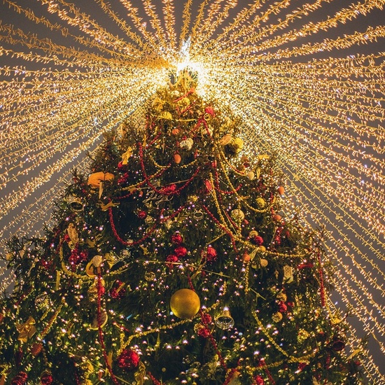 Целый год без хлопот