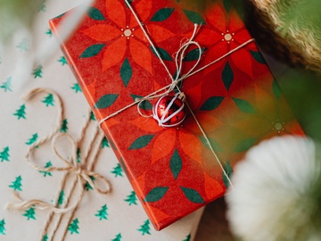 Дед Мороз и Лютая Стужа