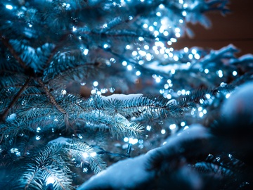 Счастливая Снежинка