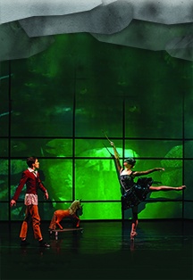 Царевна-лягушка