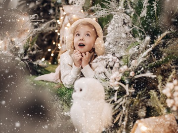 Новый год в сапогах