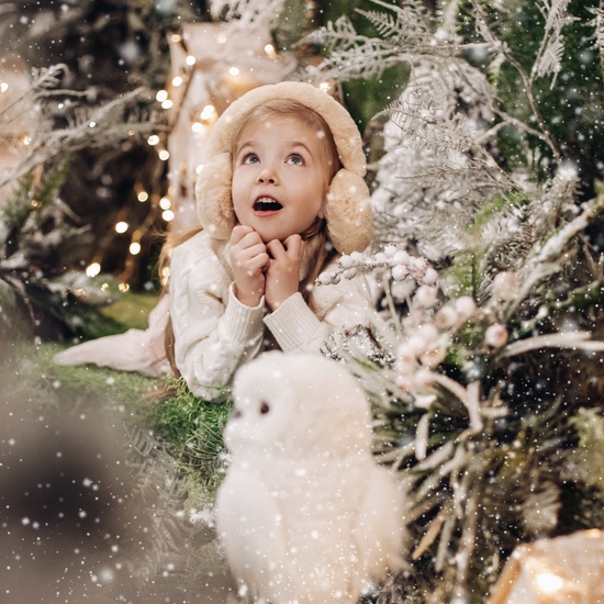 Новый год в сапогах