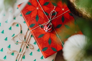 Дед Мороз и Лютая Стужа