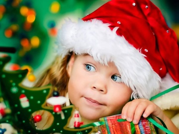 Фейерверк в новогоднем лесу