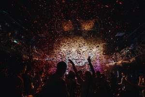 Ёлочка, гори!