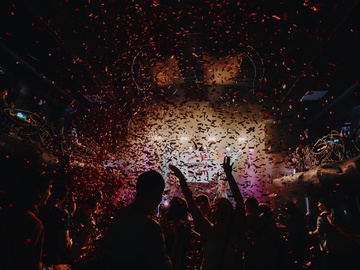 Ёлочка, гори!