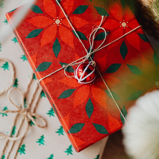 Дед Мороз и Лютая Стужа