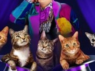 Волшебные кошки Куклачева