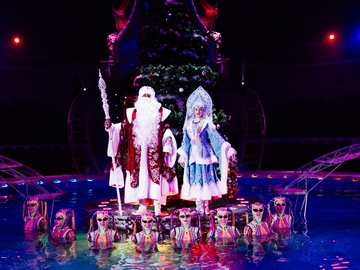 Цирк на воде. Подводное царство