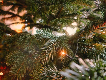 Школа Волшебников. Новогодний мультимедийный спектакль