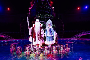 Цирк на воде. Подводное царство