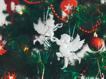 Новогодняя лавка чудес