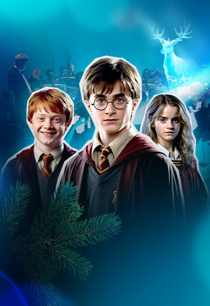 Оркестр «Модерн». Гарри Поттер. Новогодняя симфоническая сюита