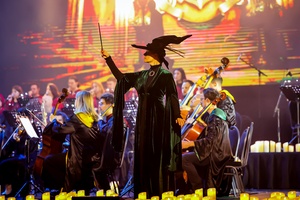 Новый год в Хогвартсе