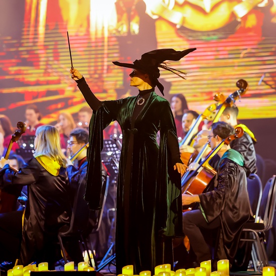 Новый год в Хогвартсе