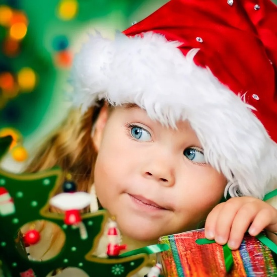 Фейерверк в новогоднем лесу