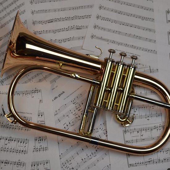 Медные духовые. Труба