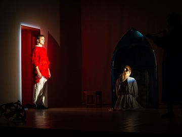 Ермаковы лебеди