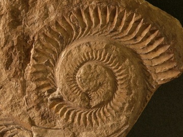 Лекция «Тайны Уральского океана»