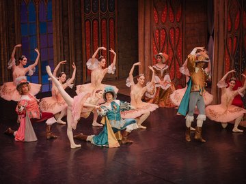 Спящая красавица