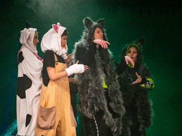 Гадкий котёнок